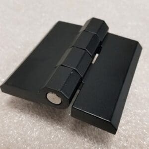 Black Door Hinge